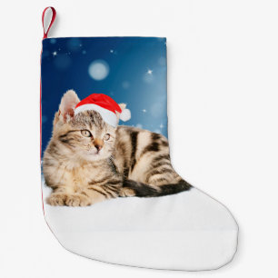 Eine süße Katze mit roter Santa-Mütze Weihnachten Kleiner Weihnachtsstrumpf