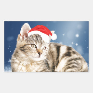 Eine süße Katze mit roter Santa-Mütze Weihnachten  Rechteckiger Aufkleber