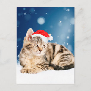 Eine süße Katze mit roter Santa-Mütze Weihnachtssc Feiertagspostkarte