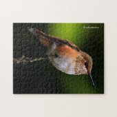 Eine süße Rufous-Hummingvogel-Pose auf dem Obstbau Puzzle (Horizontal)