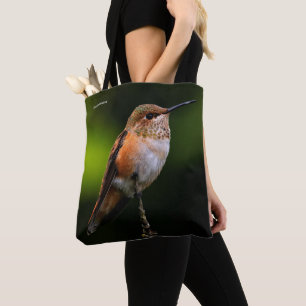 Eine süße Rufous-Hummingvogel-Pose auf dem Obstbau Tasche