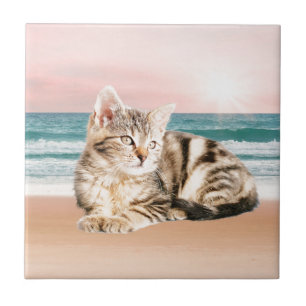 Eine süßere gestreifte Katze sitzt am Strand bei S Fliese