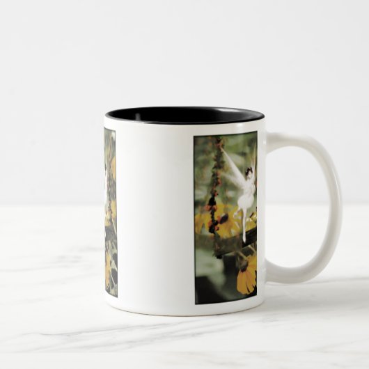 Eine Swing in der Tasse Garden (Rechts)
