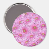 Eine Symphonie der rosa Gerberas, Magnet (Vorderseite/Rückseite)