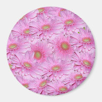 Eine Symphonie der rosa Gerberas,