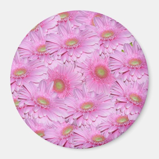 Eine Symphonie der rosa Gerberas, Magnet (Vorne)