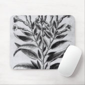 Eine Tabak-Pflanze, 1622 Mousepad (Mit Mouse)