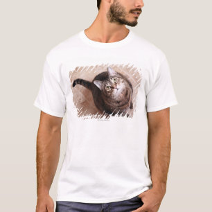 Eine Tabbykatze, die oben schaut T-Shirt