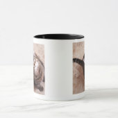 Eine Tabbykatze, die oben schaut Tasse (Zentrum)