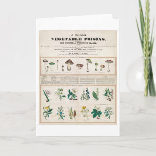 Eine Tabelle der pflanzlichen Gifte Vintage Poster Karte