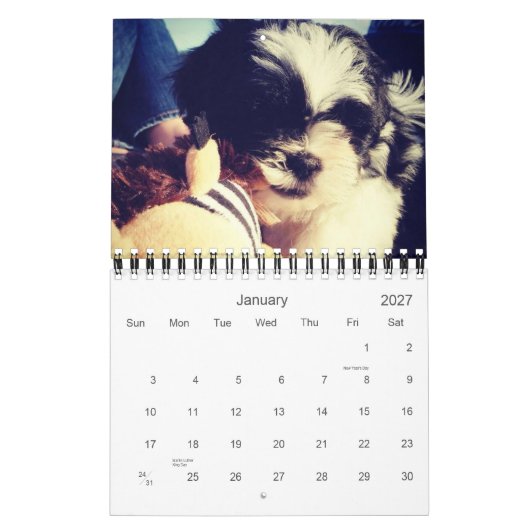 Eine tägliche Dosis des Pandas Kalender (Jan 2027)