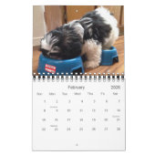 Eine tägliche Dosis des Pandas Kalender (Feb 2026)