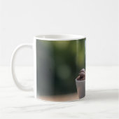 Eine Tasse Kaffeebohnen. (Links)