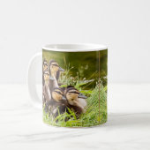 Eine Tasse von Entenlingen (Vorderseite Links)