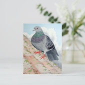 Eine Taube Erholungen auf einem Dach Postkarte (Stehend Vorderseite)