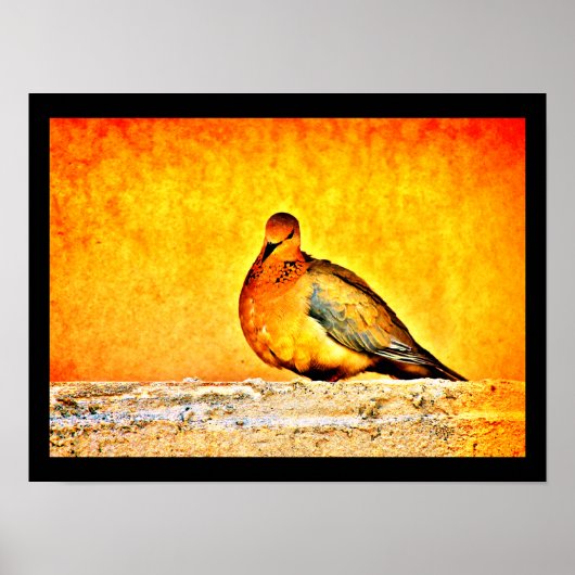 Eine Taubenprinzessin Poster (Vorne)