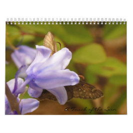 Eine Touch der Carolinas Kalender