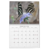 Eine Touch der Carolinas Kalender (Feb 2026)