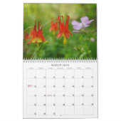 Eine Touch der Carolinas Kalender (Mär 2026)