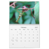 Eine Touch der Sonne Kalender (Feb 2027)