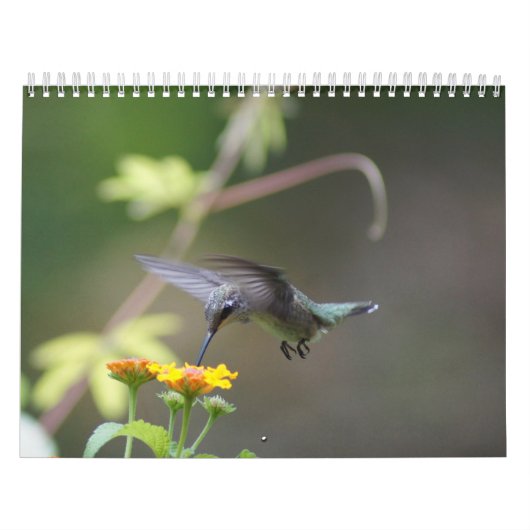Eine Touch der Sonne Kalender (Titelbild)