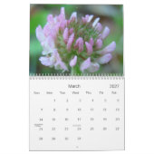 Eine Touch der Sonne Kalender (Mär 2027)