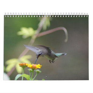 Eine Touch der Sonne Kalender