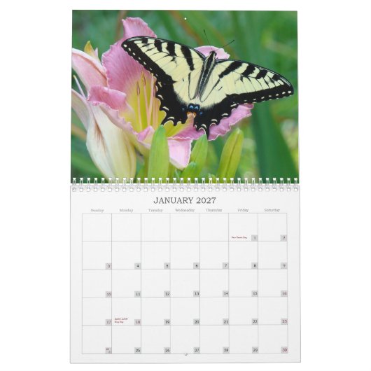 Eine Touch der Sun-Taglilien Kalender (Jan 2027)