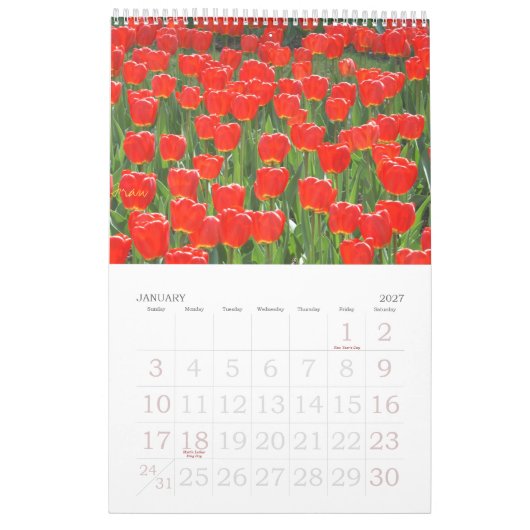 eine Touch des Rotes für 2013 Kalender (Jan 2027)