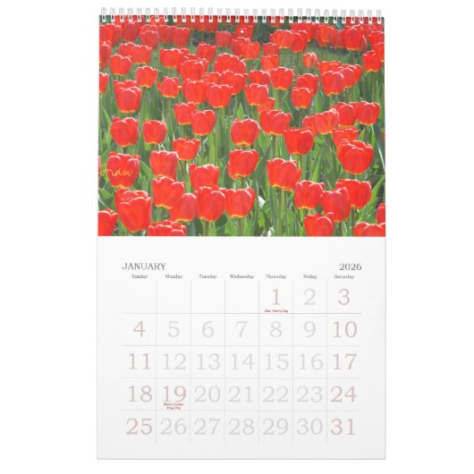 eine Touch des Rotes für 2013 Kalender (Jan 2026)