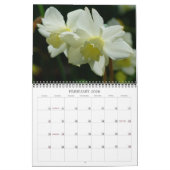 Eine Touch des Sun II ~ 2014 Kalender (Feb 2026)