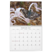 Eine Touch des Sun-Schmetterlinges Kalender (Feb 2027)