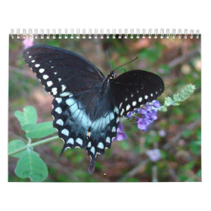 Eine Touch des Sun-Schmetterlinges Kalender