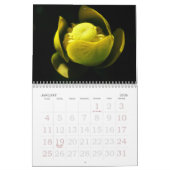 eine Touch Gelb für 2025 Kalender (Jan 2026)