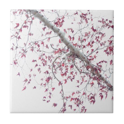 Eine Touch rosa Blätter Fliese (Vorderseite)