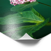Eine Touch Rosa im grünen Foto (Ecke)