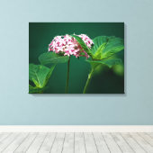 Eine Touch Rosa im Grünen Leinwanddruck (Insitu (Holzboden))