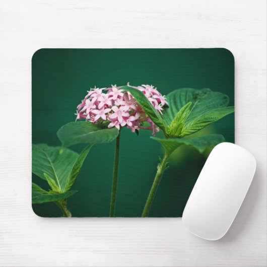 Eine Touch Rosa im Grünen Mousepad (Mit Mouse)