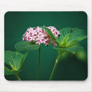 Eine Touch Rosa im Grünen Mousepad