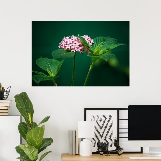 Eine Touch Rosa in der grünen Printmedien Poster (Heimbüro)