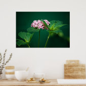 Eine Touch Rosa in der grünen Printmedien Poster (Küche)