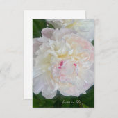 Eine traumhafte Blush Peony Mitteilungskarte (Vorne/Hinten)