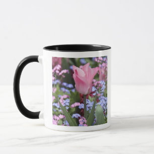 Eine Tulpe im Luxembourg-Garten, Paris, Frankreich Tasse
