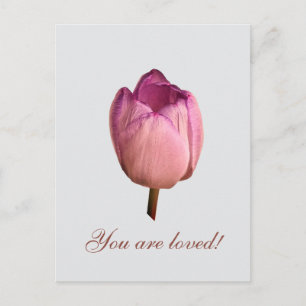 Eine Tulpenblume Postkarte