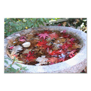 Eine Umhüllung des Herbstes Fotodruck