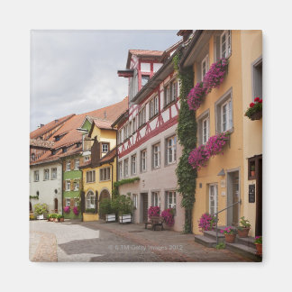 Eine ungewöhnlich gut erhaltene mittelalterliche S Magnet
