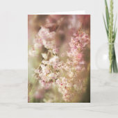 Eine unscharfe, rosa weinende Willow Blank Karte (Vorderseite)