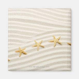 Eine unstraight Reihe von Starfishes Magnet