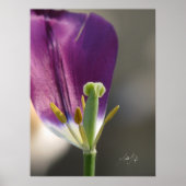 Eine Verlassen Poster (Vorne)