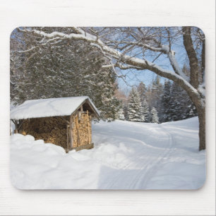 Eine verschneite Szene am Little Lyford Pond des A Mousepad